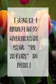炎陵县十都镇开展劳动技能培训 绘就“致富有路”新图景
