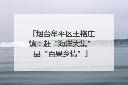 烟台牟平区王格庄镇：赶“海洋大集” 品“百果乡情”