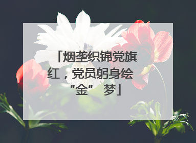 烟垄织锦党旗红，党员躬身绘 “金” 梦