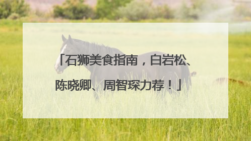 石狮美食指南，白岩松、陈晓卿、周智琛力荐！