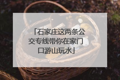 石家庄这两条公交专线带你在家门口游山玩水