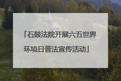 石鼓法院开展六五世界环境日普法宣传活动
