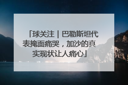 球关注｜巴勒斯坦代表掩面痛哭，加沙的真实现状让人痛心