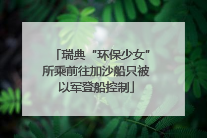 瑞典“环保少女”所乘前往加沙船只被以军登船控制