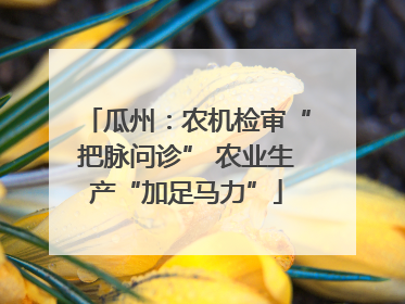 瓜州：农机检审“把脉问诊” 农业生产“加足马力”