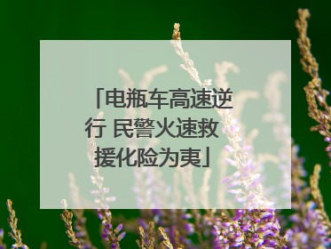 电瓶车高速逆行 民警火速救援化险为夷
