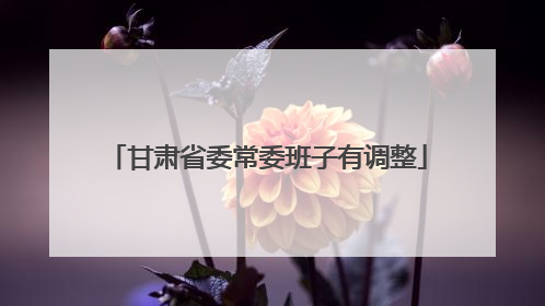 甘肃省委常委班子有调整