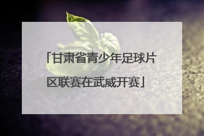 甘肃省青少年足球片区联赛在武威开赛