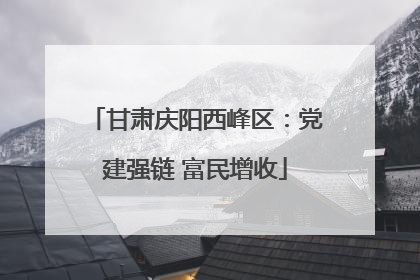 甘肃庆阳西峰区：党建强链 富民增收