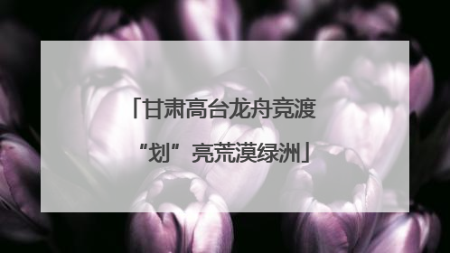 甘肃高台龙舟竞渡“划”亮荒漠绿洲