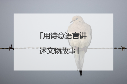 用诗意语言讲述文物故事