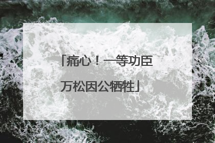 痛心！一等功臣万松因公牺牲
