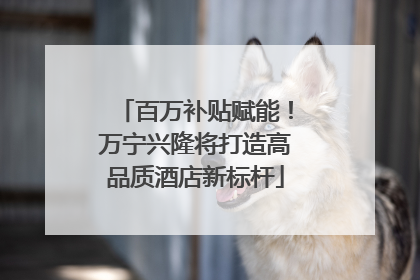 百万补贴赋能！万宁兴隆将打造高品质酒店新标杆