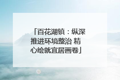 百花湖镇：纵深推进环境整治 精心绘就宜居画卷