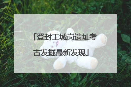 登封王城岗遗址考古发掘最新发现