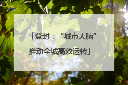 登封：“城市大脑”推动全城高效运转