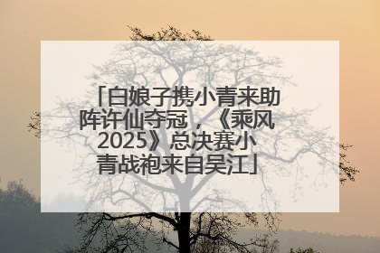 白娘子携小青来助阵许仙夺冠，《乘风2025》总决赛小青战袍来自吴江