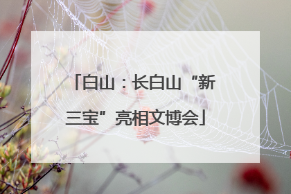 白山：长白山“新三宝”亮相文博会