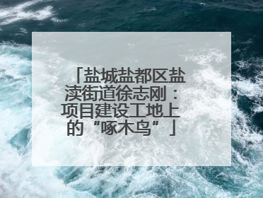 盐城盐都区盐渎街道徐志刚：项目建设工地上的“啄木鸟”