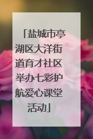 盐城市亭湖区大洋街道育才社区举办七彩护航爱心课堂活动