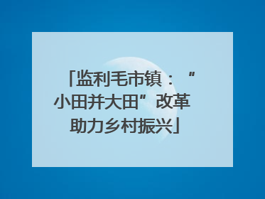 监利毛市镇：“小田并大田”改革 助力乡村振兴
