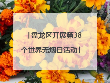 盘龙区开展第38个世界无烟日活动