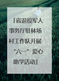 省退役军人事务厅驻林场村工作队开展“六一”爱心助学活动