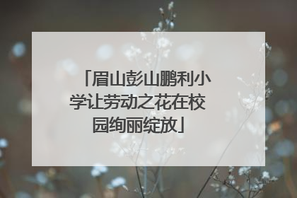 眉山彭山鹏利小学让劳动之花在校园绚丽绽放