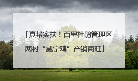 真帮实扶！百里杜鹃管理区两村“威宁鸡”产销两旺
