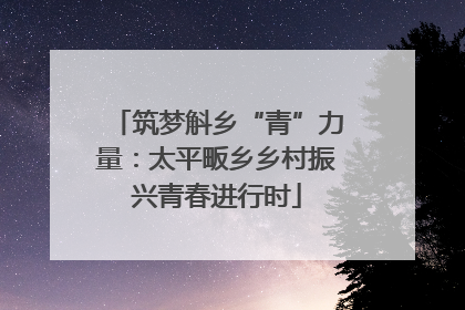 筑梦斛乡“青”力量：太平畈乡乡村振兴青春进行时