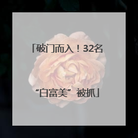 破门而入！32名“白富美”被抓