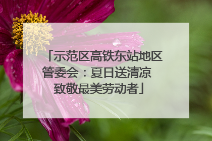 示范区高铁东站地区管委会：夏日送清凉 致敬最美劳动者