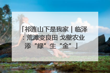 祁连山下是我家｜临泽：荒滩变良田 戈壁农业添“绿”生“金”