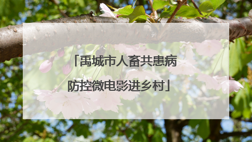 禹城市人畜共患病防控微电影进乡村