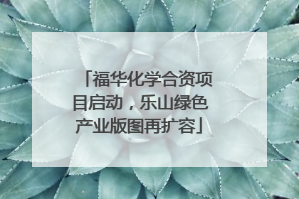 福华化学合资项目启动，乐山绿色产业版图再扩容