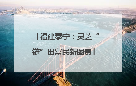 福建泰宁：灵芝“链”出富民新图景