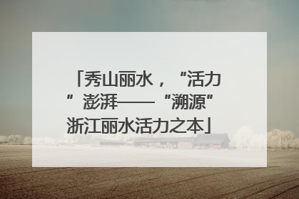 秀山丽水，“活力”澎湃——“溯源”浙江丽水活力之本