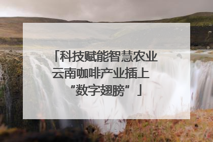 科技赋能智慧农业 云南咖啡产业插上“数字翅膀”