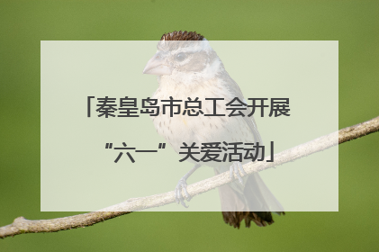 秦皇岛市总工会开展“六一”关爱活动