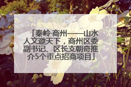 秦岭·商州——山水人文邀天下，商州区委副书记、区长支朝奇推介5个重点招商项目