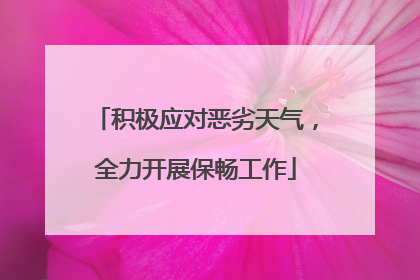 积极应对恶劣天气，全力开展保畅工作