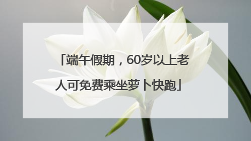 端午假期，60岁以上老人可免费乘坐萝卜快跑