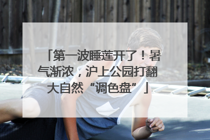 第一波睡莲开了！暑气渐浓，沪上公园打翻大自然“调色盘”
