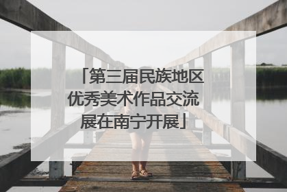 第三届民族地区优秀美术作品交流展在南宁开展