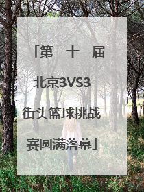 第二十一届北京3VS3街头篮球挑战赛圆满落幕
