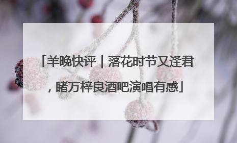 羊晚快评｜落花时节又逢君，睹万梓良酒吧演唱有感