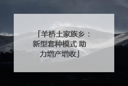 羊桥土家族乡：新型套种模式 助力增产增收