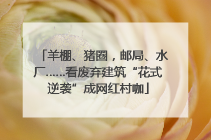 羊棚、猪圈，邮局、水厂……看废弃建筑“花式逆袭”成网红村咖