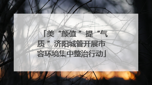美“颜值 ”提“气质 ”济阳城管开展市容环境集中整治行动