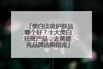 美白淡斑护肤品哪个好？十大美白祛斑产品，去黄提亮品牌选购指南